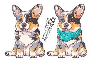 vector de retrato de cachorro de corgi dibujado a mano