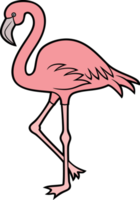 ilustração png de pássaro flamingo