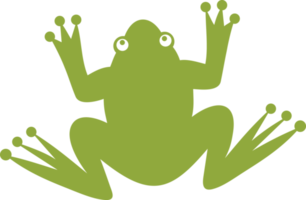 Frog animal color png illustration