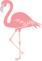 flamant rose oiseau illustration png