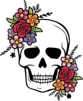 cráneo humano floral png ilustración
