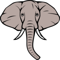 ilustração png de cabeça de elefante