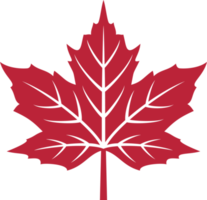 Red maple leaf png illustration