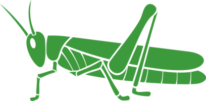 Green grasshopper png illustration