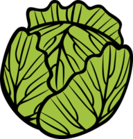 illustration png de légume chou vert