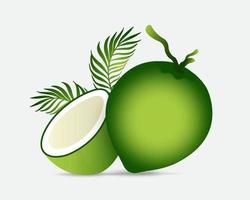 Realistic coconut fruit design icon vector. Fresh coconut fruit design vector illustration