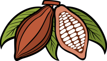 cacao - illustrazione png di fave di cacao