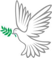 illustrazione di colomba della pace png