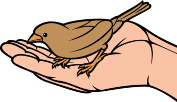 vogel in de hand kleur ong illustratie png