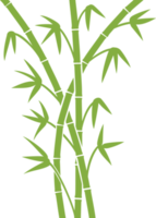 illustration png de tiges de bambou vert