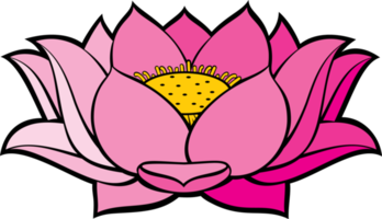 flor de loto png ilustración