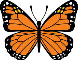 illustrazione del png di colore dell'insetto della farfalla