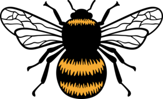 Bumblebee insect color png illustration