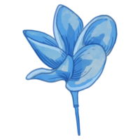 aquarellblume, blaue flora clipart png