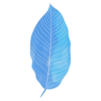 feuille aquarelle, feuilles bleues clipart png