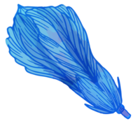 fiore dell'acquerello, clipart blu della flora png