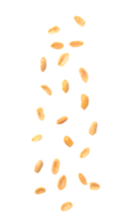 Falling salt peanuts cutout, Png file