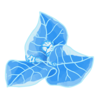 fleur aquarelle, clipart flore bleue png