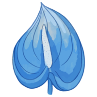 aquarel bloem, blauwe flora clipart png