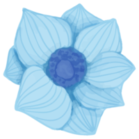 akvarell blomma, blå flora clipart png