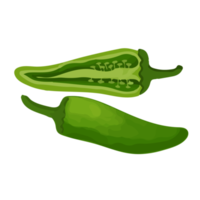 pimenta aquarela, clipart de legumes pintados à mão png