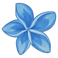 Watercolor flower, Blue flora clipart png