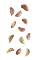 Falling garlics cutout, Png file