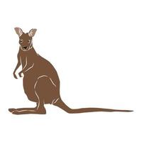 Beautiful kangaroo image vector