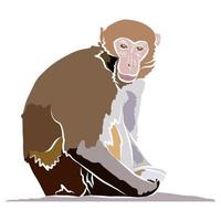 Beautiful monkey portraits vector