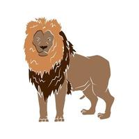 Beautiful lion image vector