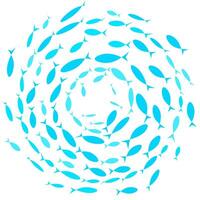 Vector silhouette of a group of colored fish swimming in a circle. Isolated on a white background. Great for design illustration templates about marine life.