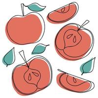 conjunto de manzanas vectoriales: manzana, rebanada, mitad, entera y hojas. colección de frutas dibujadas a mano abstracta roja y verde con contorno negro aislado sobre fondo blanco. vector