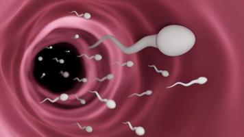 espermatozoides masculinos.la fertilidad de los espermatozoides del movimiento de los hombres después del sexo.3d render ilustración. foto