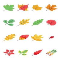 Autumn leaves icons set, isometric style vector