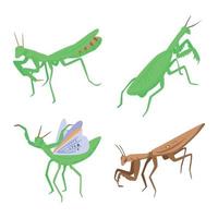 Mantis icons set, isometric style vector