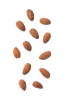 Falling almonds cutout, Png file