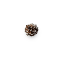 Snow pine cone cutout, Png file