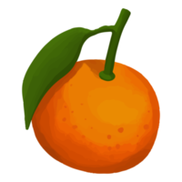 aquarelle orange, clipart de fruits peints à la main png