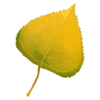 akvarell blad, höstlöv clipart png