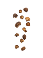 corte de setas shiitake que caen, archivo png