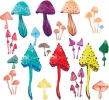 Watercolour mushrooms illustration. vector