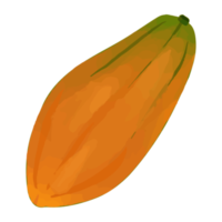 papaia aquarela, clipart de frutas pintados à mão png