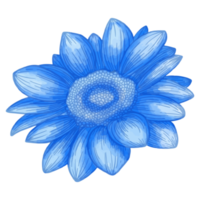 aquarel bloem, blauwe flora clipart png