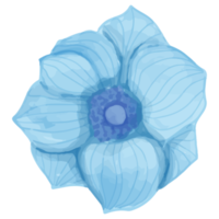 fleur aquarelle, clipart flore bleue png