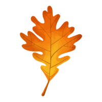 akvarell blad, höstlöv clipart png