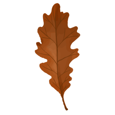 Orange Leaf PNGs for Free Download
