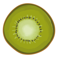 akvarell kiwi, handmålad frukt clipart png