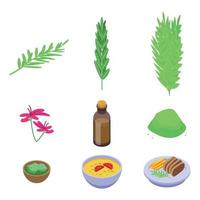 Rosemary icons set, isometric style vector