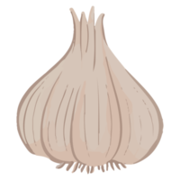 akvarell vitlök, handmålade grönsaker clipart png