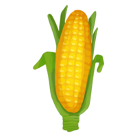 akvarell majs, handmålade grönsaker clipart png